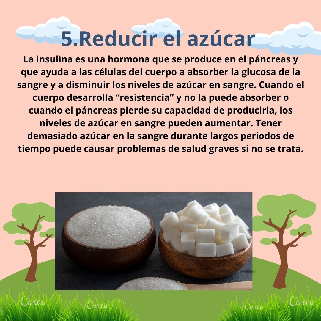 Alejandra Cerón Hueche-14