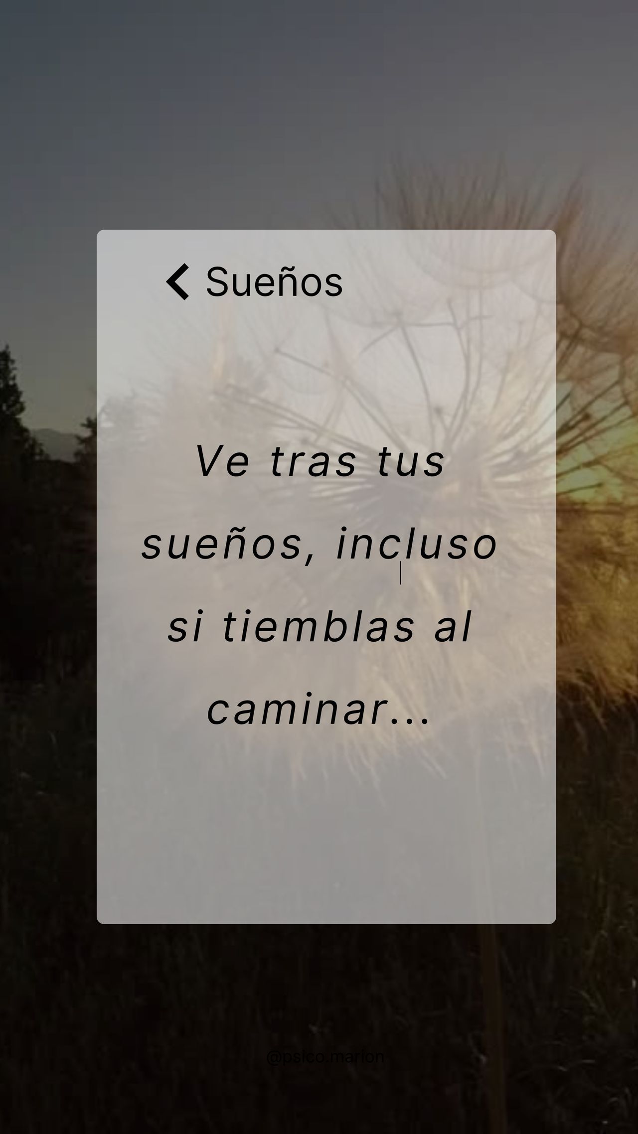 Marion Meneses Guerra-8