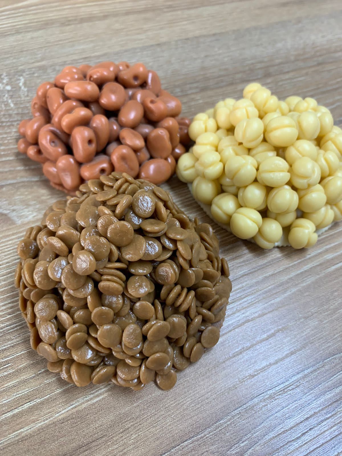 Amida Carvajal Guzman-5