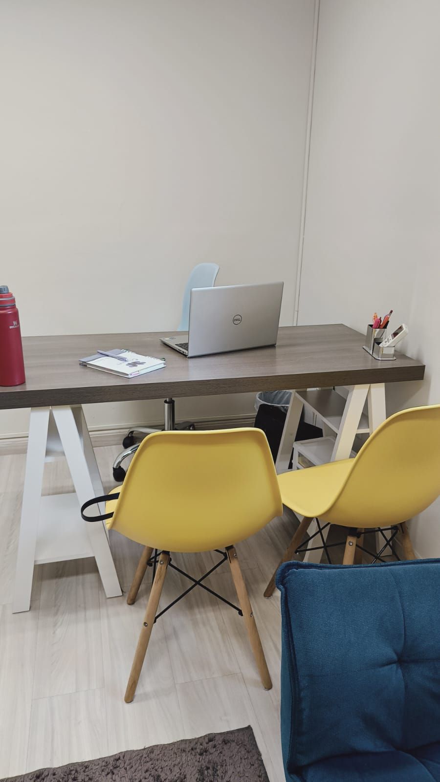 Maria Ismênia Silva-0