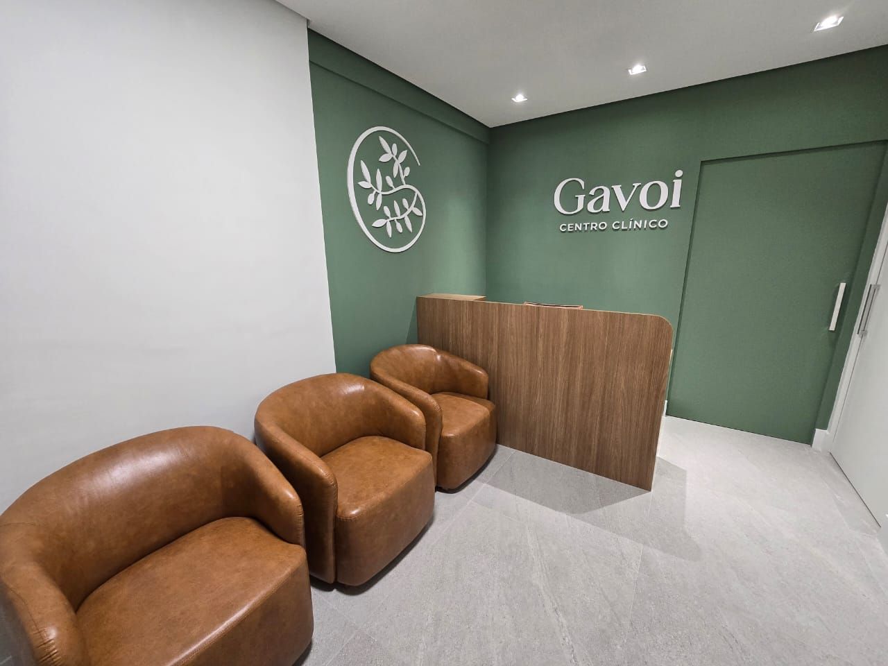 Fabiana De Moraes Goraieb-2