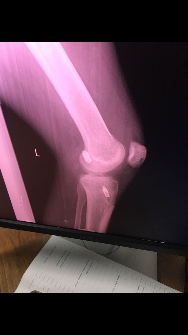 Dimitri Lovisaro Rumiantzeff-7