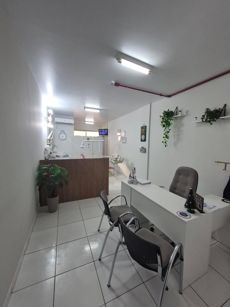 Ana Cristina  De Sousa Fonseca -8