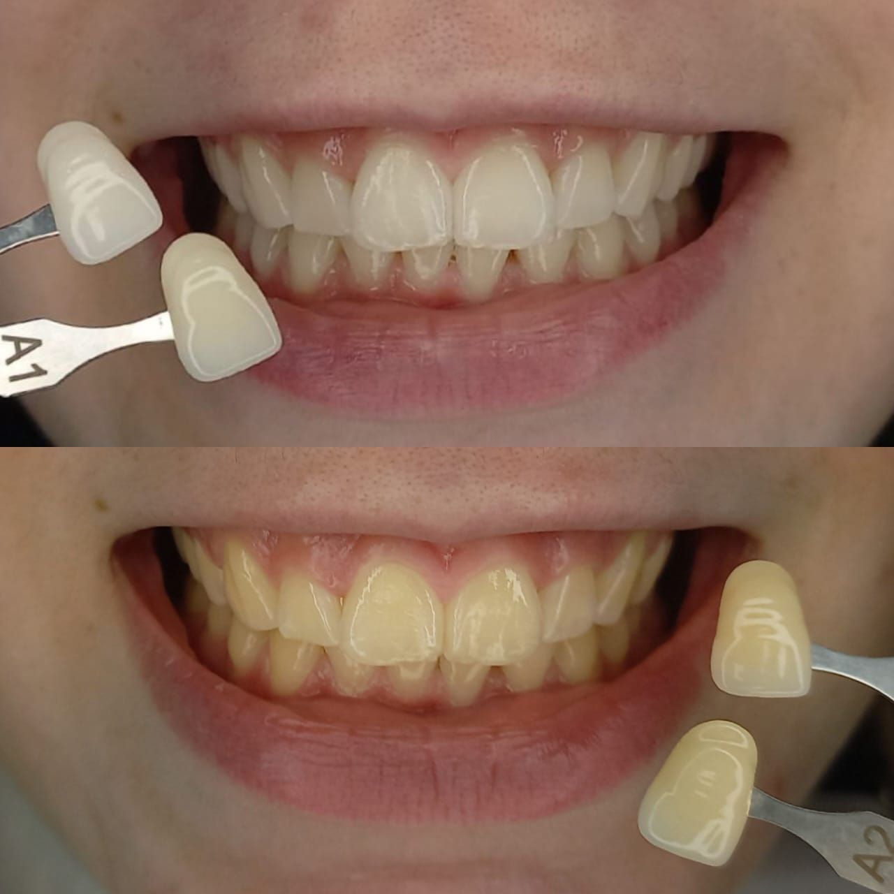 Camila De Loyola E Silva Avellar Fonseca-10