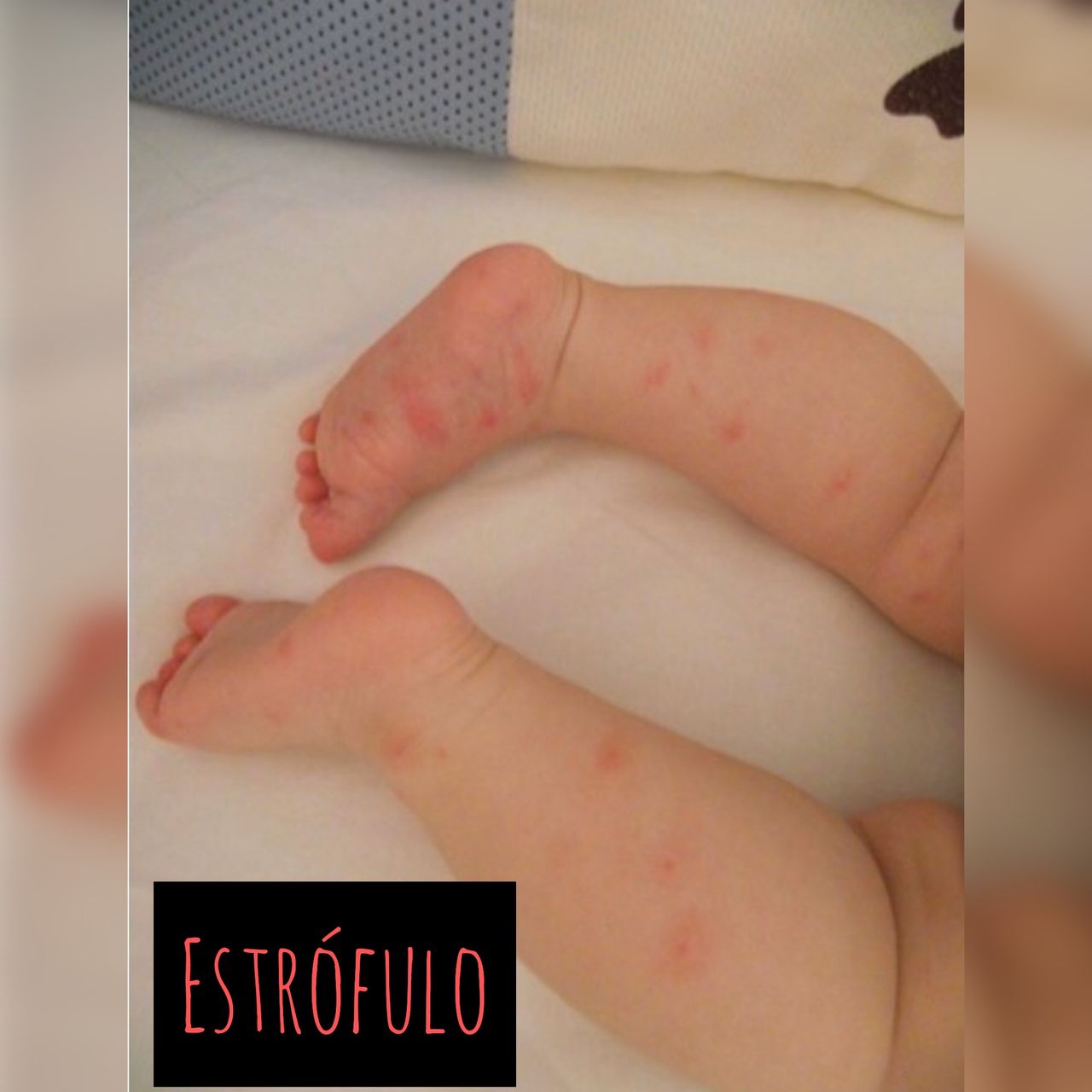 Juliana Lima Ribeiro-6