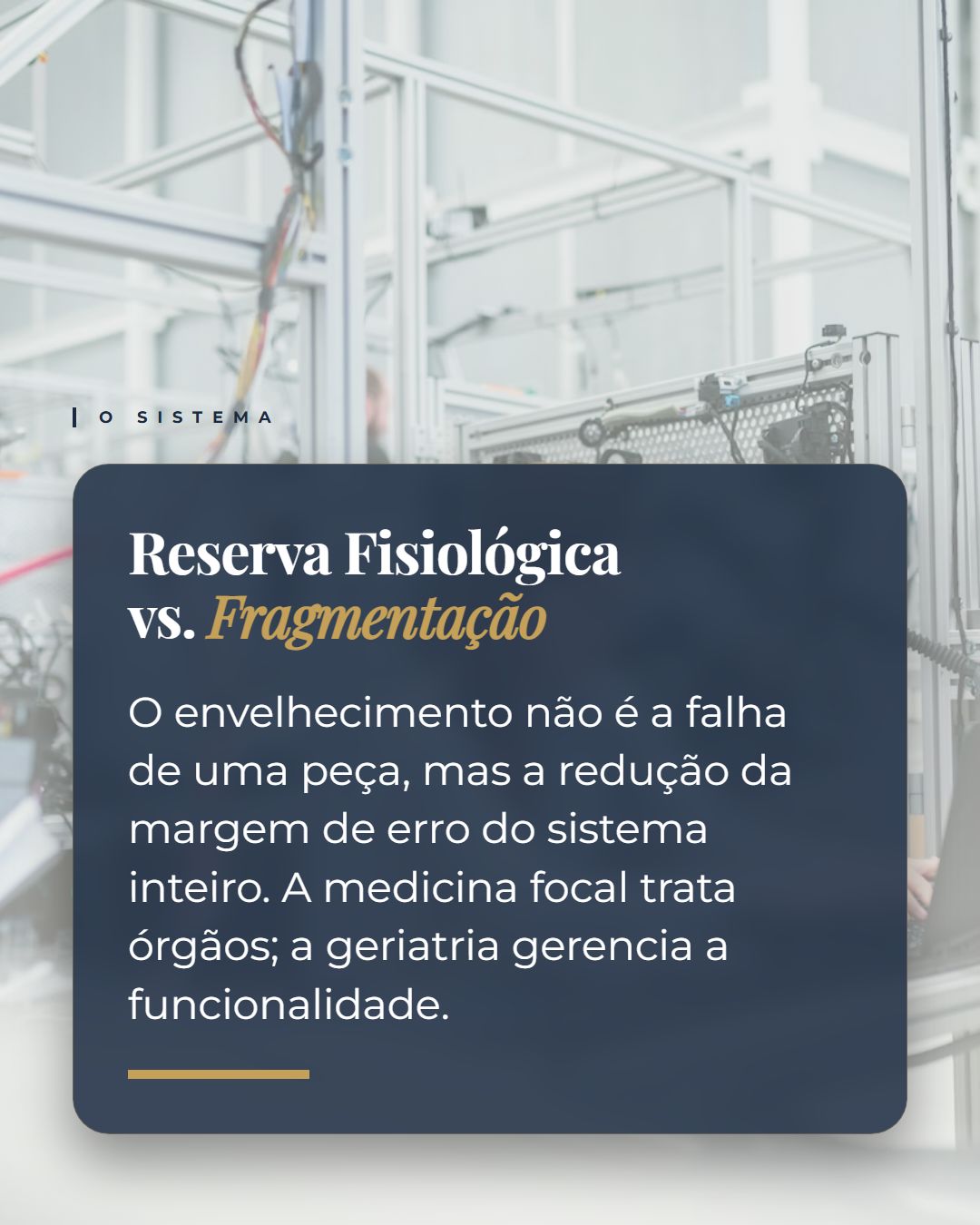 Paulo Meirelles-1