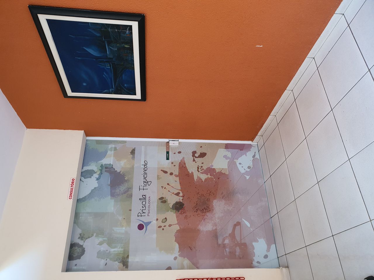 Priscilla Figueiredo-9