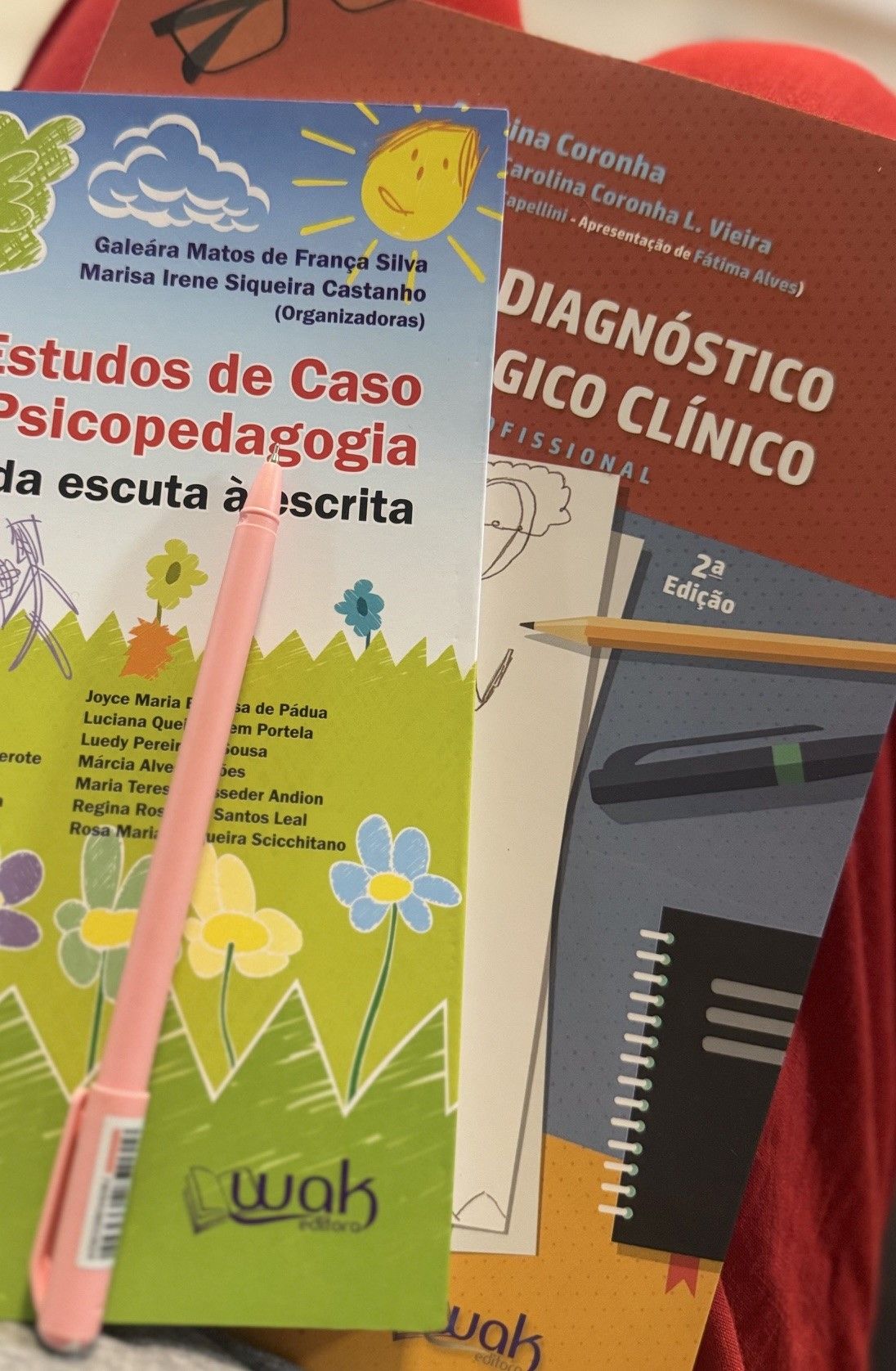 Letícia Bahia Secchieri-10