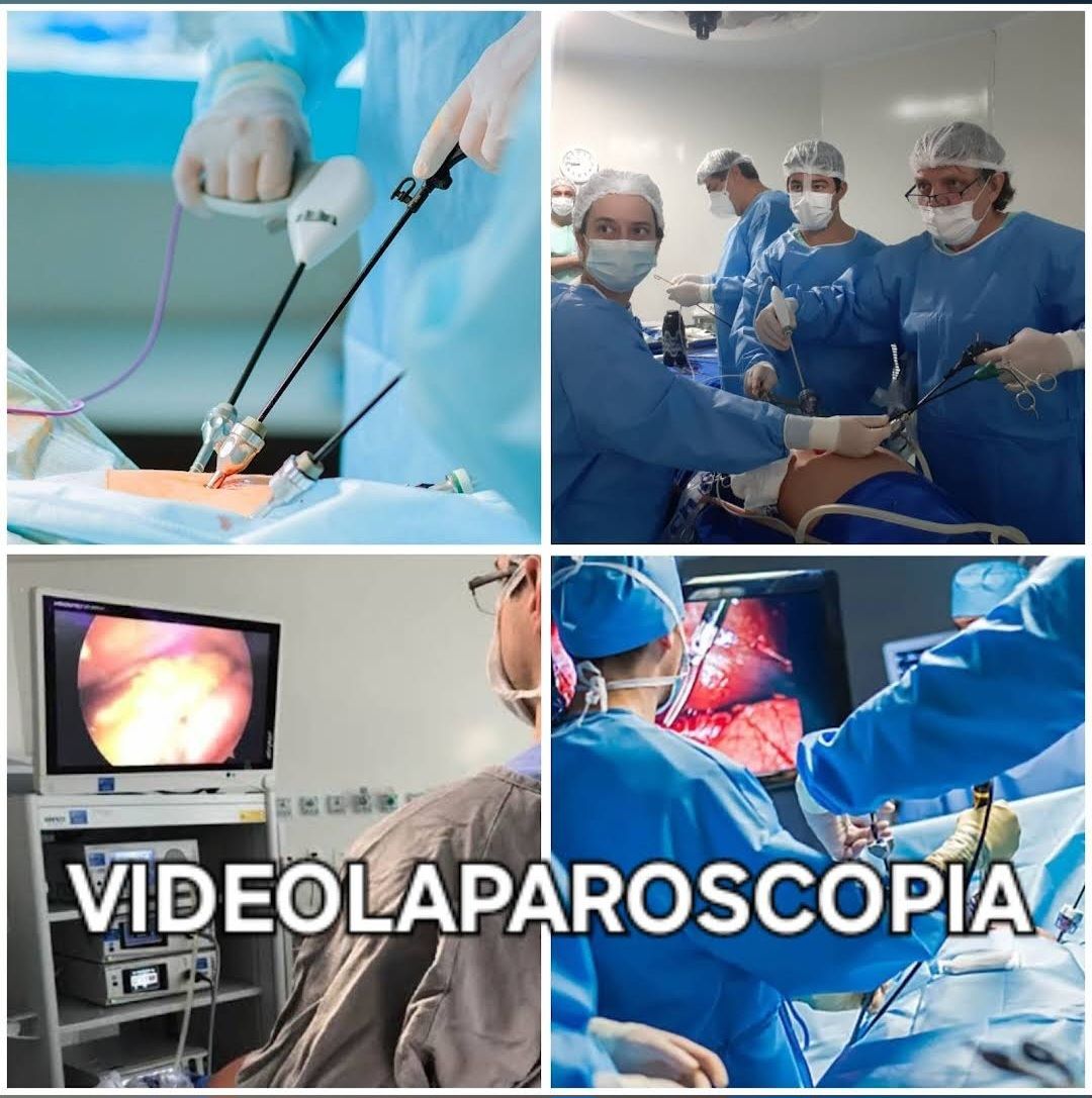 Robison José Manfredi-15