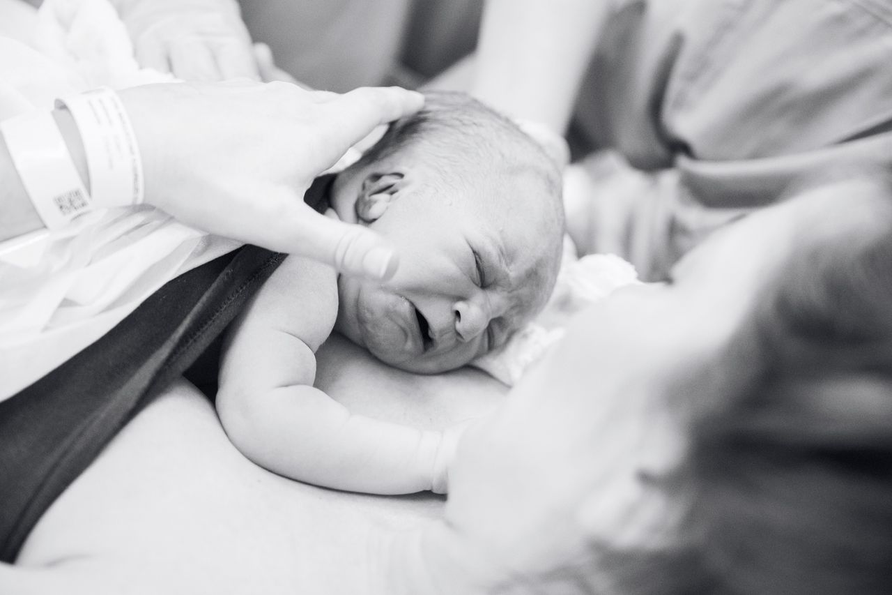 Fernanda  Pandolfi -0