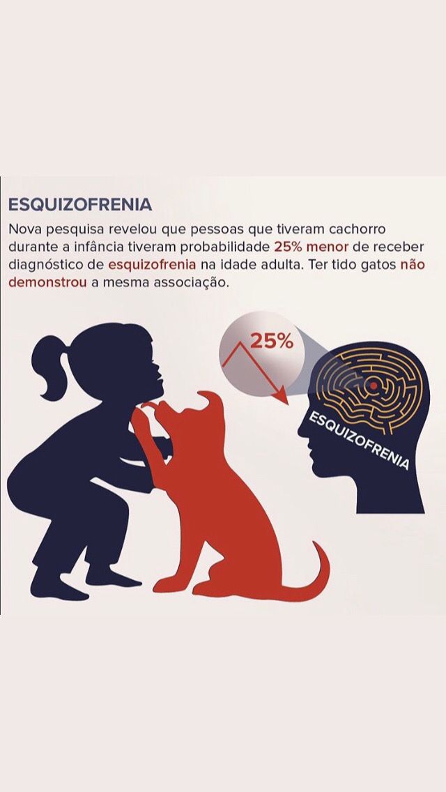 Renata Lia Cavalcante Da Costa-2