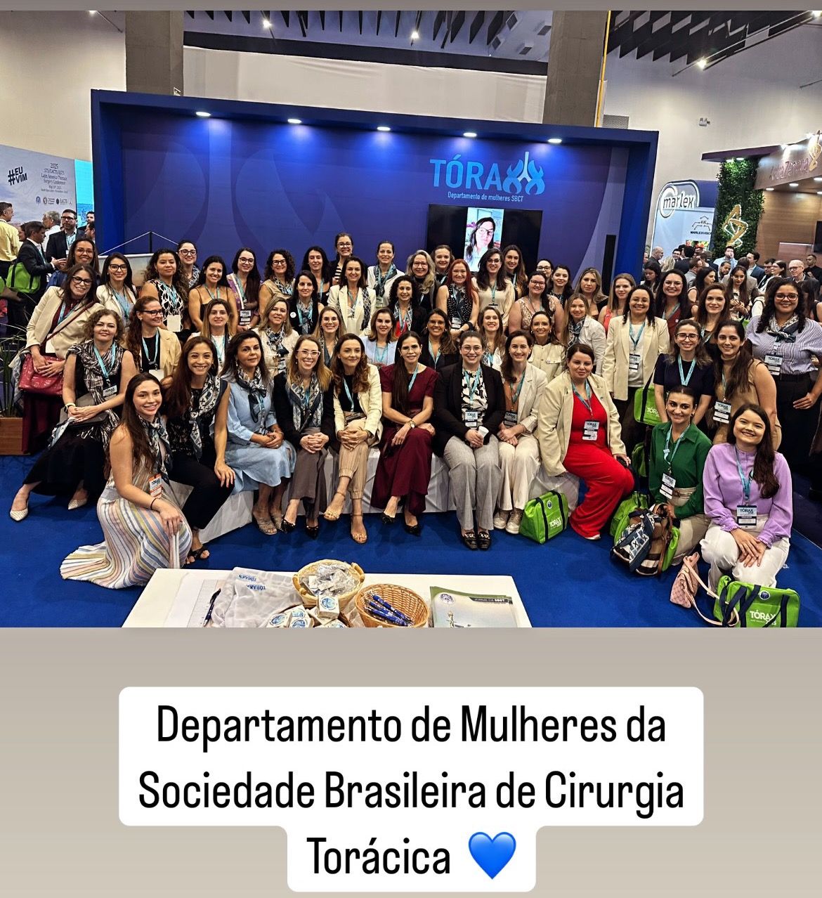 Cristal Geovana Baruff De Brito E Cunha Damian-6
