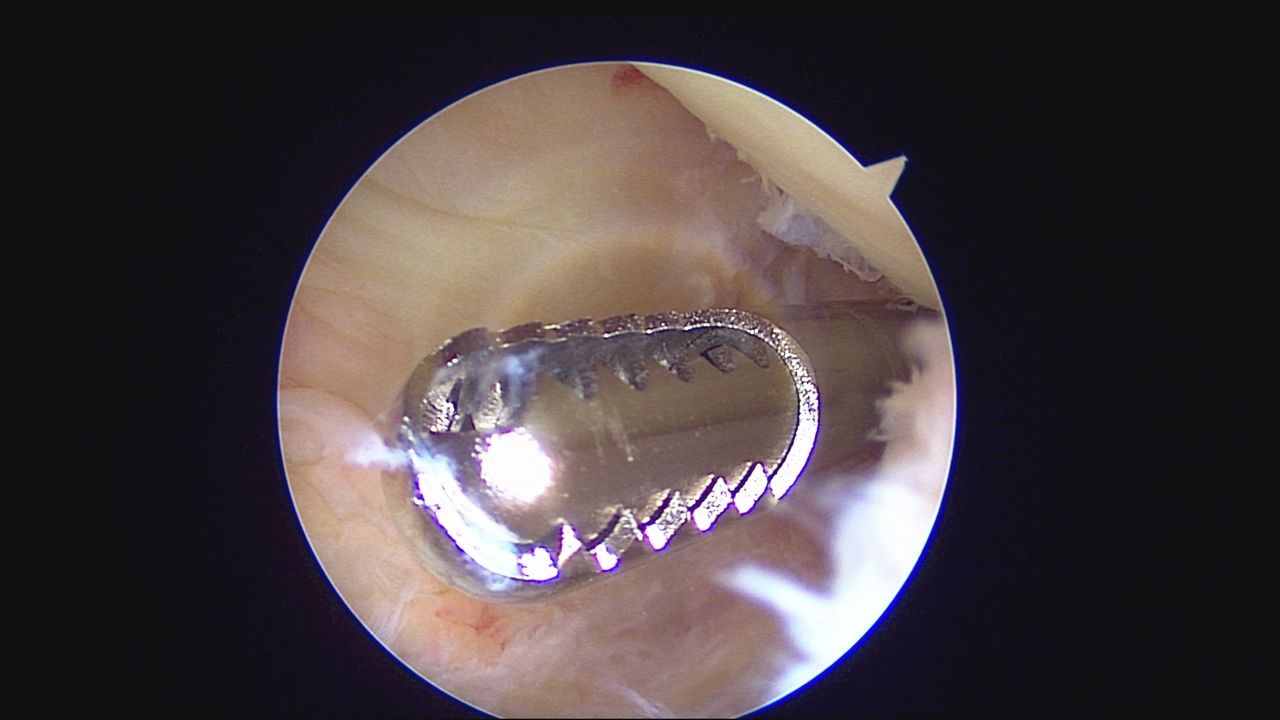 Alexandre Terruggi Jr-20