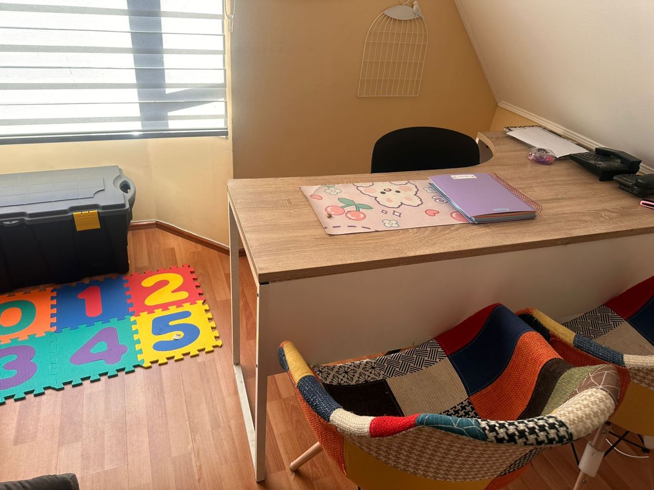 Estefania Estevan Sandoval-2