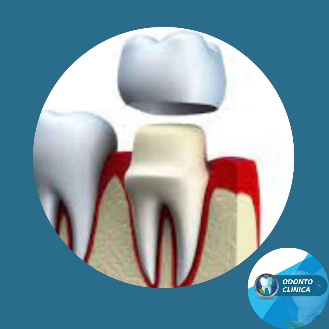 Cecilia Inés Socias Altamirano-17