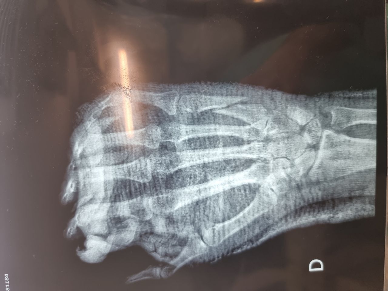 Samir Haikal Junior-6