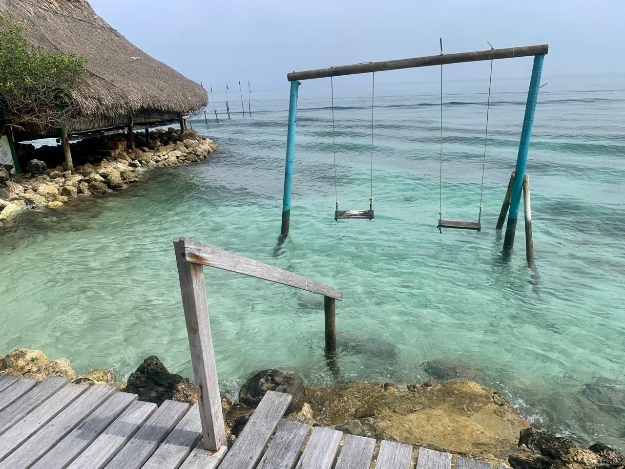 María José Bertoglio-1