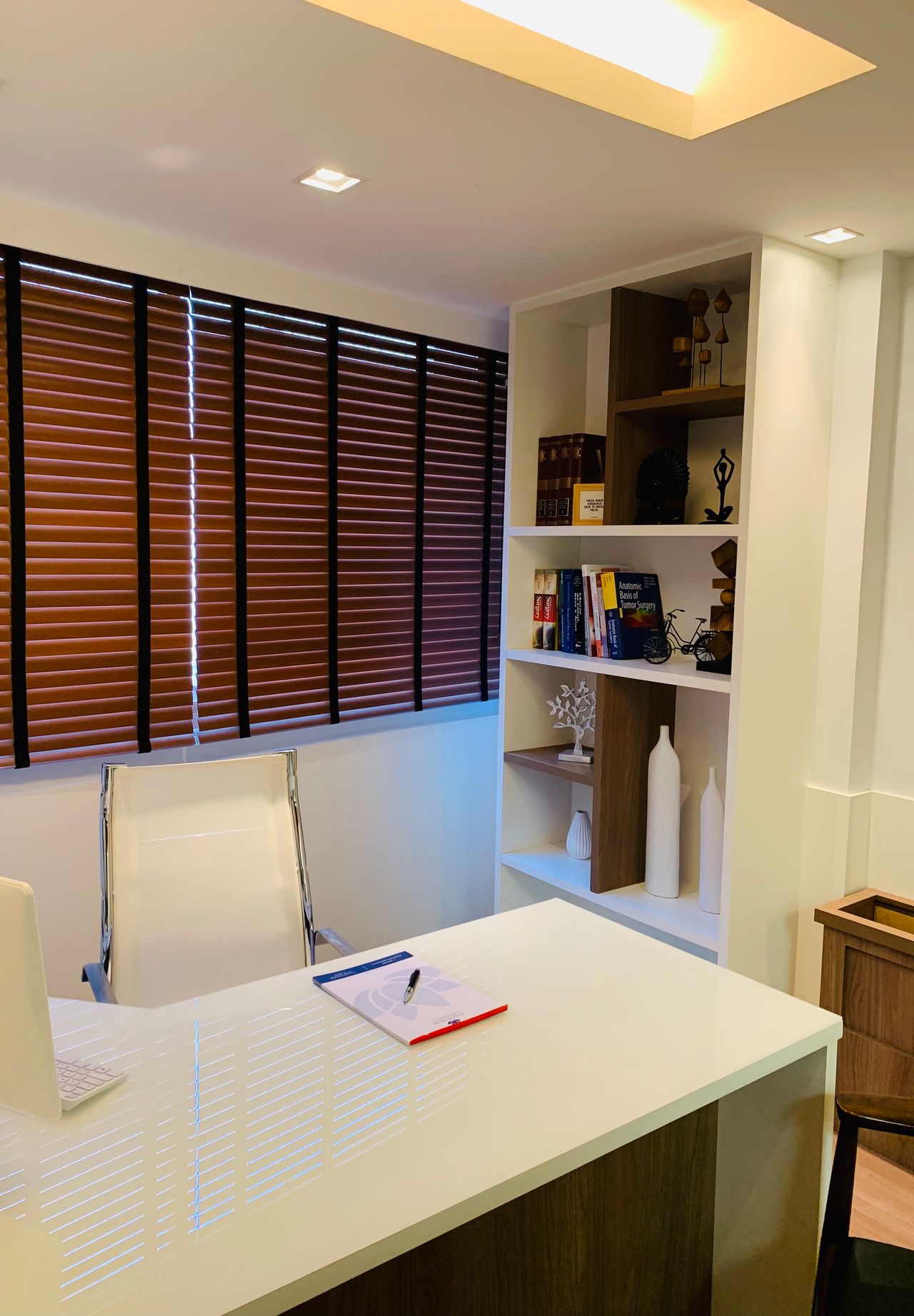 Angelo Bustani Loss-3