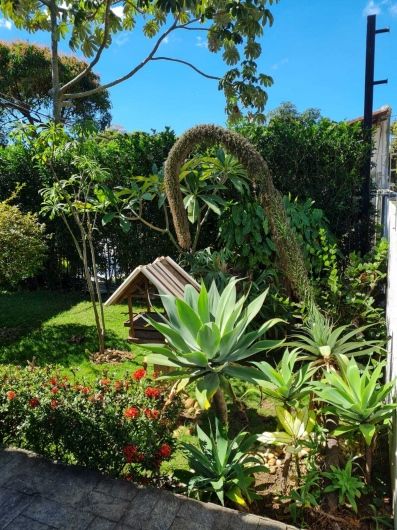 Caroliny Bravim Calazans-1