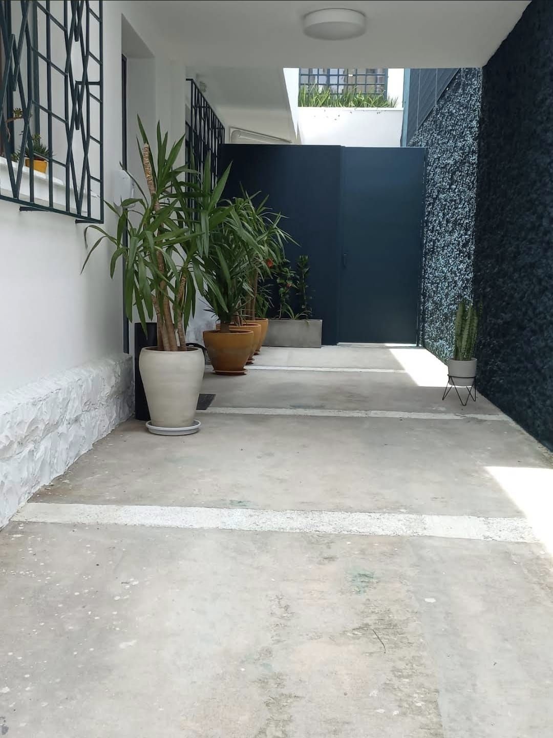Fernando  Borba-2