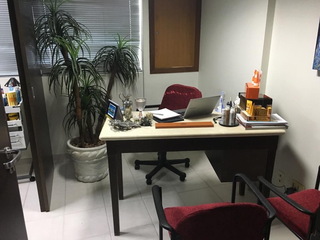 Ana Regina Alencar Santos-1