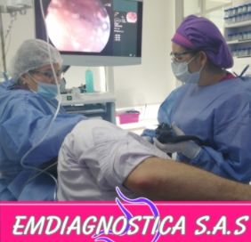 Jenny Leonor Molano Caro-4