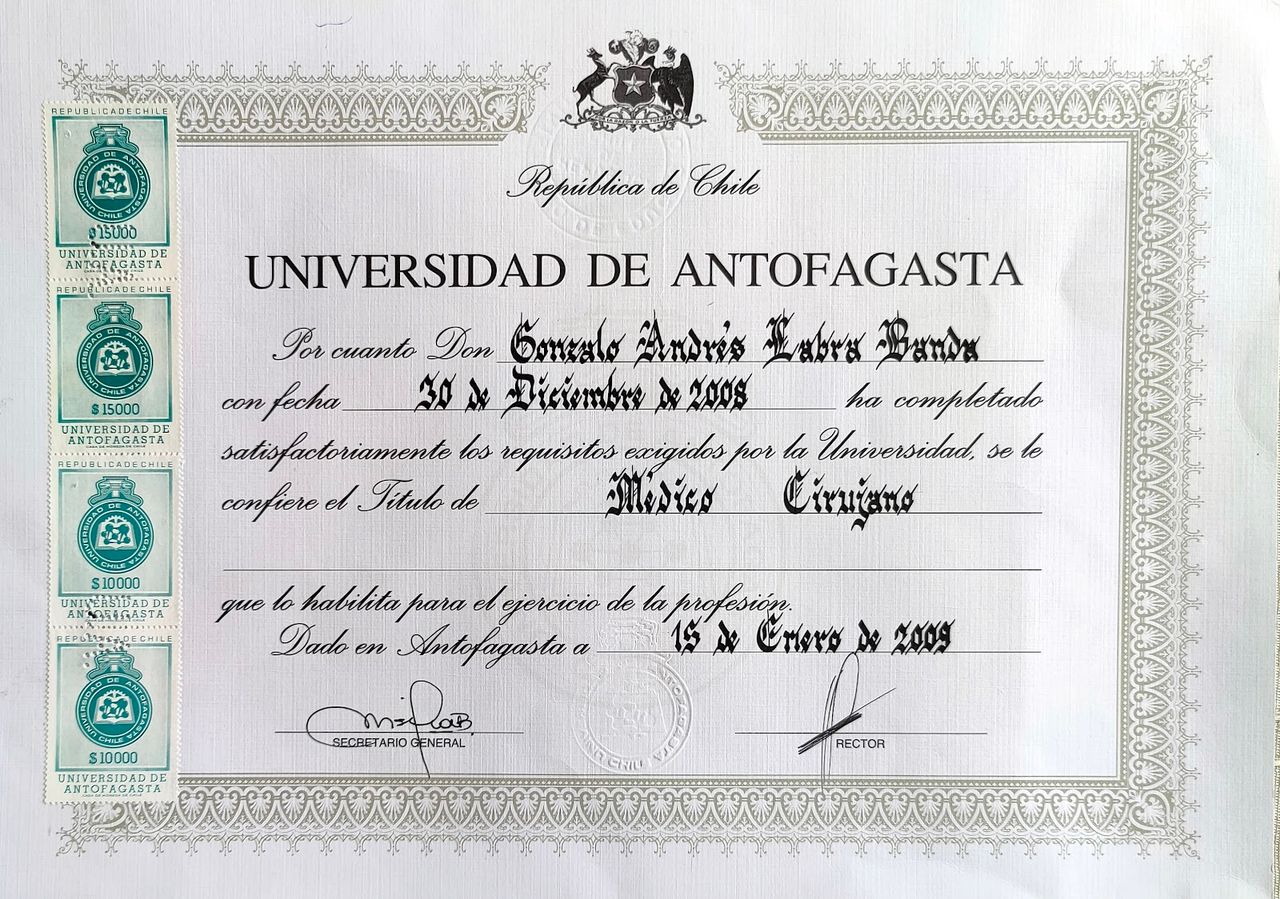 Gonzalo  Labra Banda-1