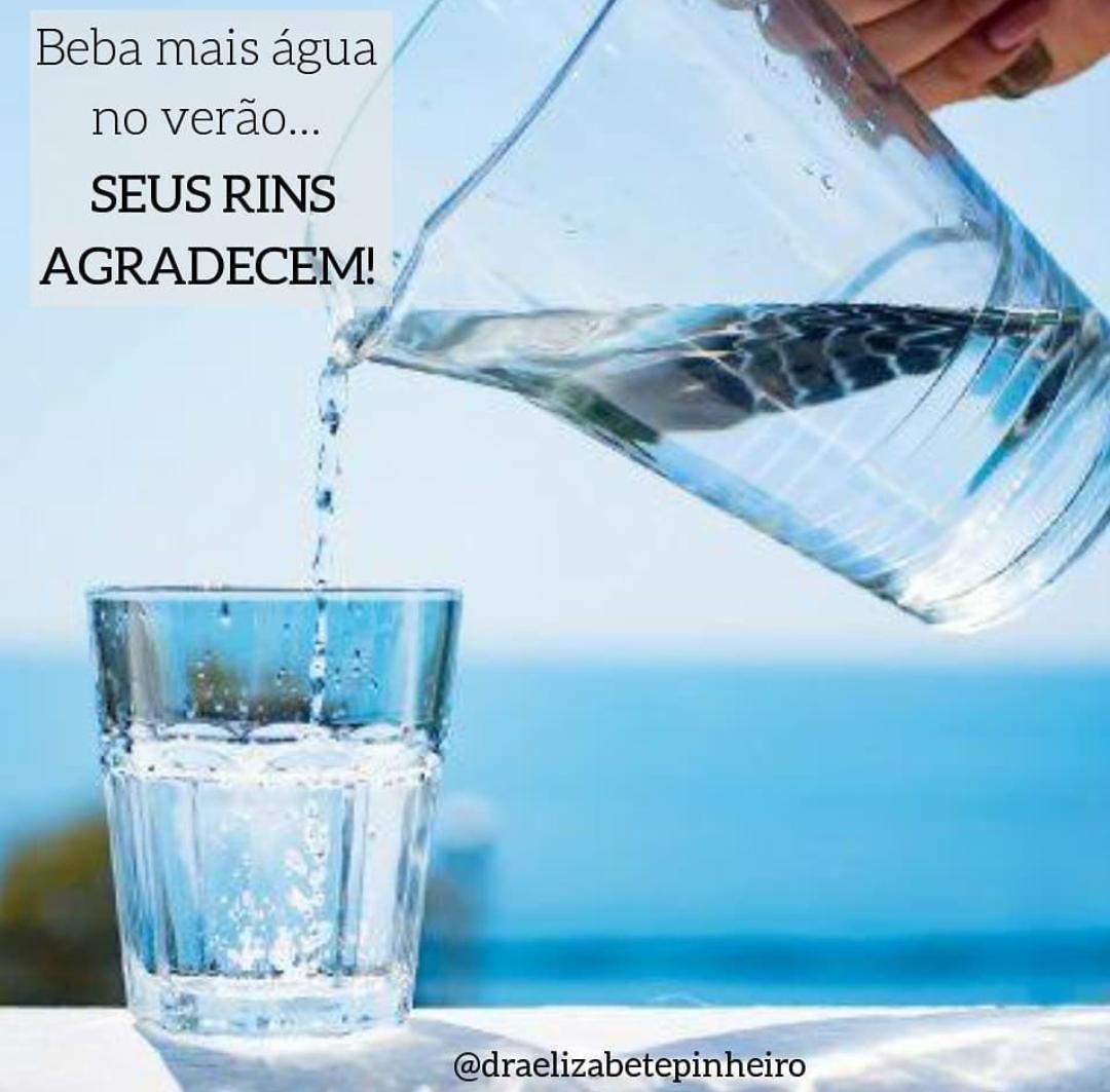 Elizabete Campos Pinheiro-10