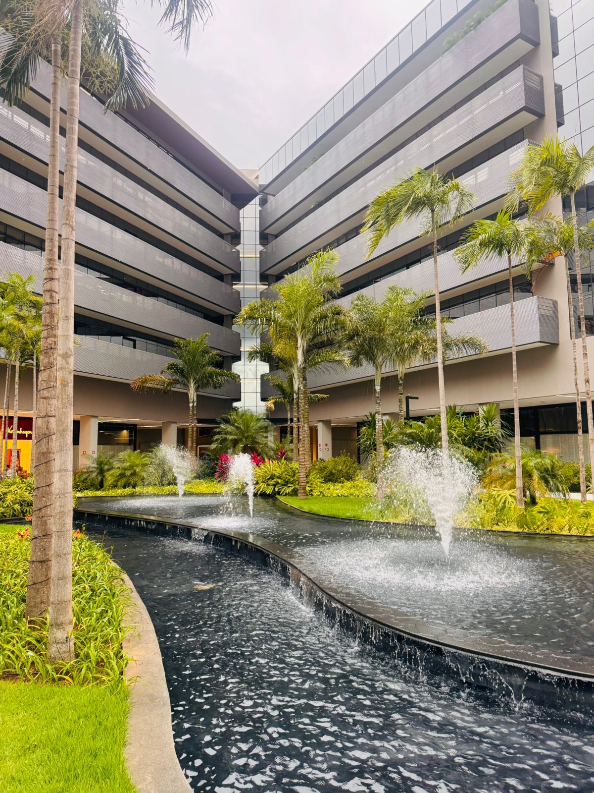 Carolina Lima De Melo-5