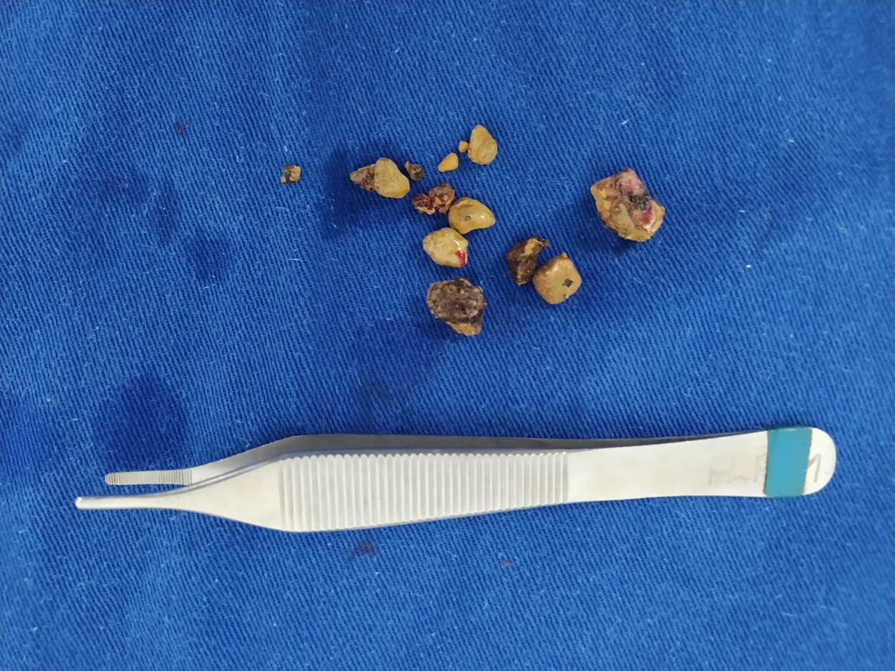 Hamilton Franco Filho-46