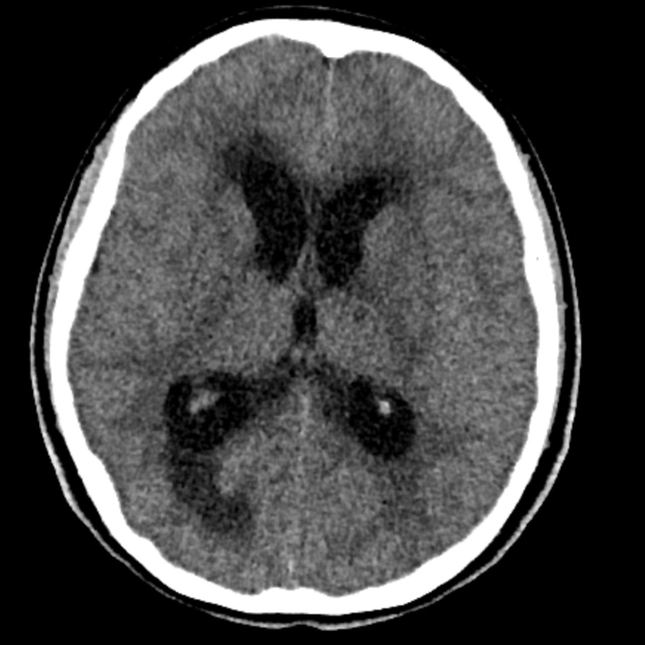 David Tafur Muñoz-1637