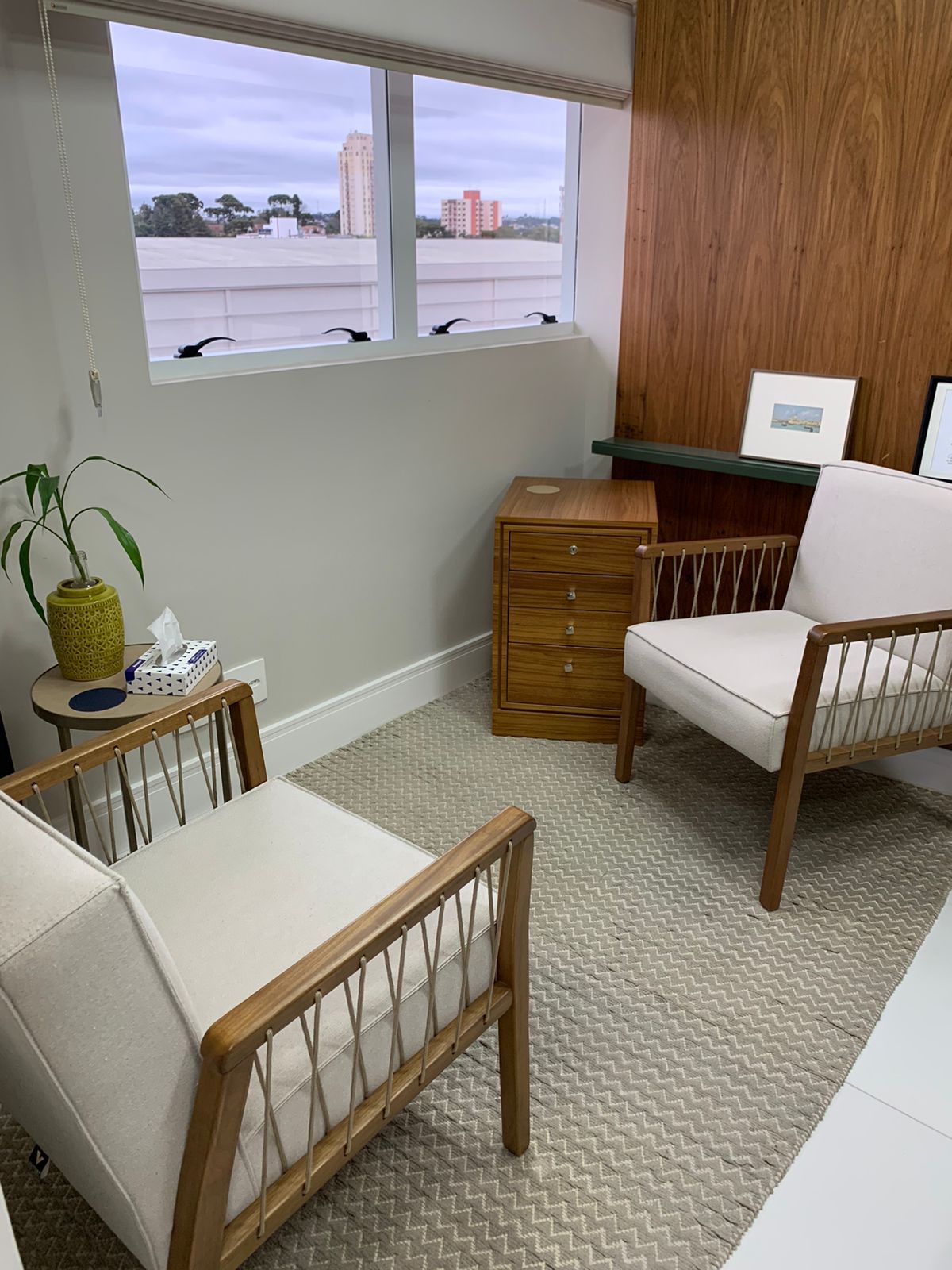 Domênica Sarolli De Andrade-4