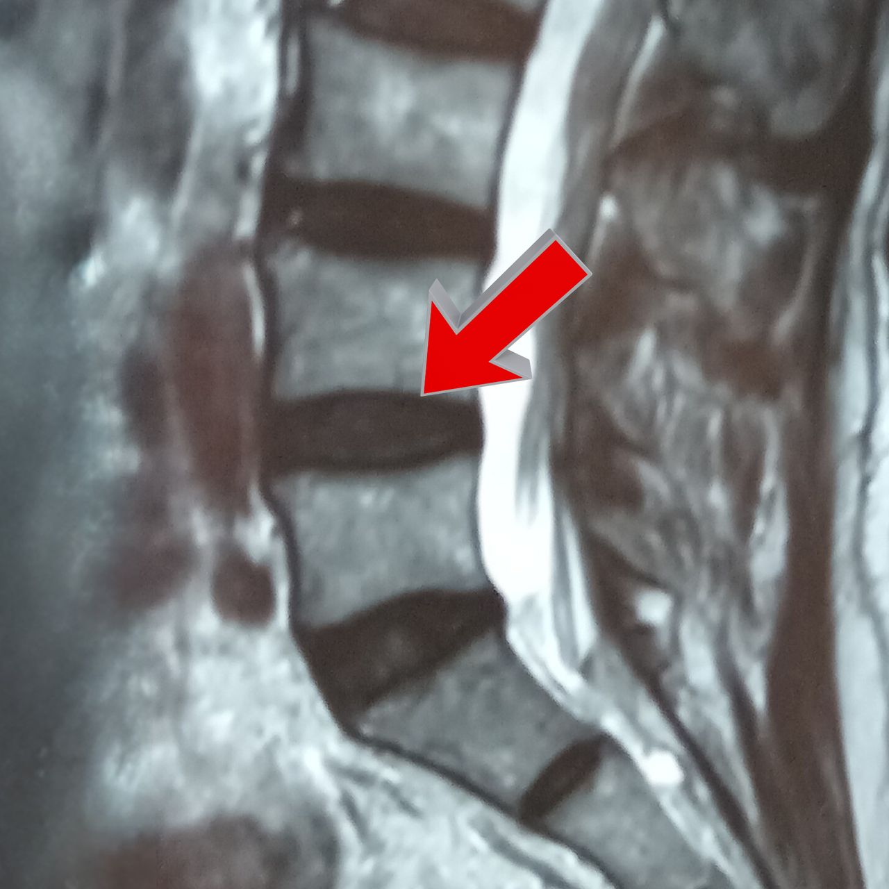 David Tafur Muñoz-1556