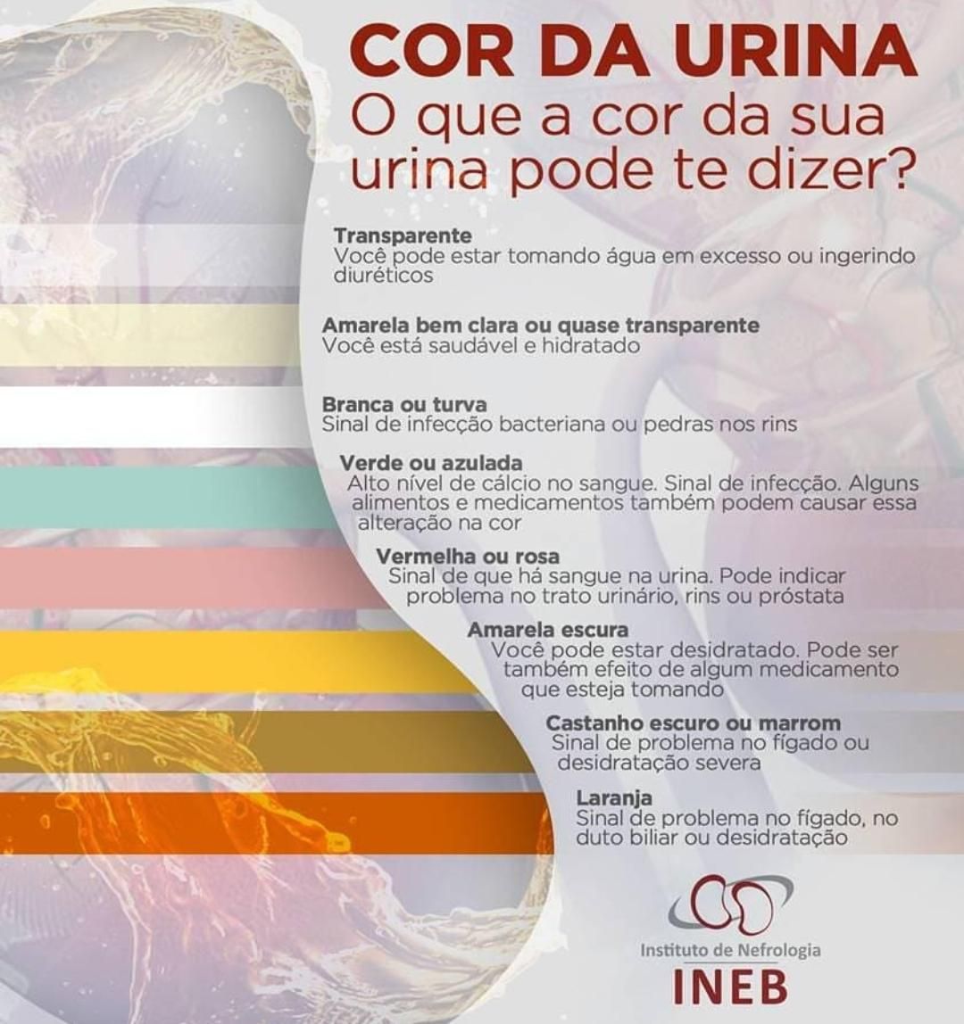 Elizabete Campos Pinheiro-2