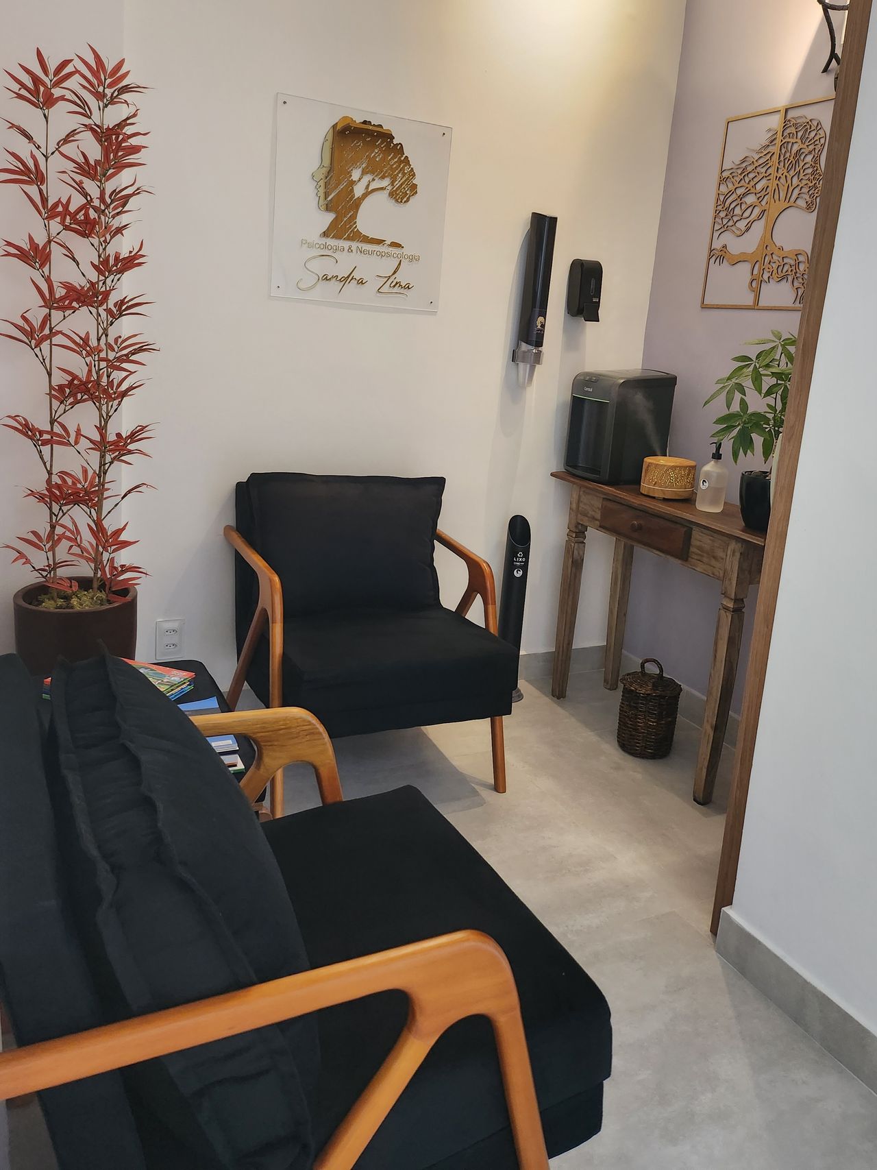 Sandra Regina Pinheiro Lima-5