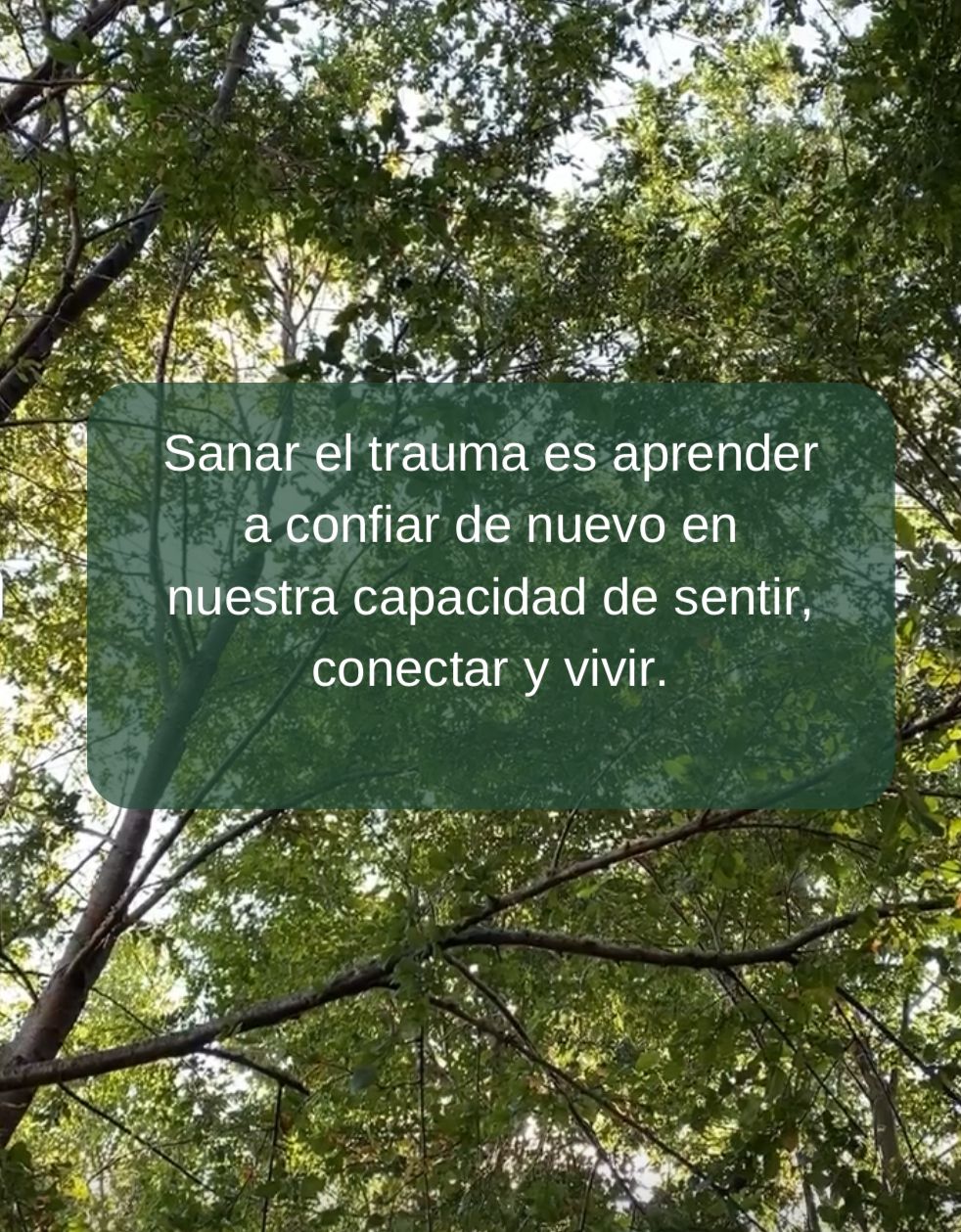 María Fernanda Arriagada Ramis-2