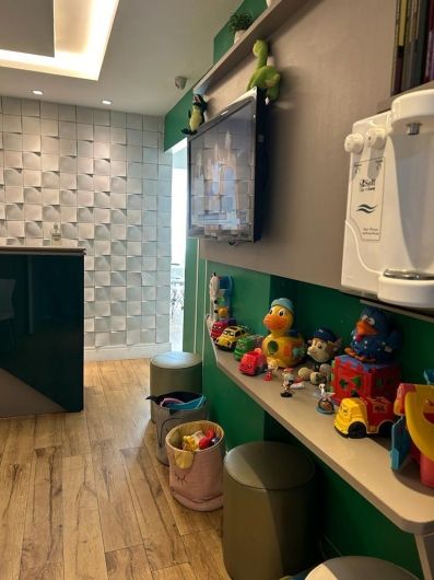 Sonia Terezinha Perez De Menezes-6