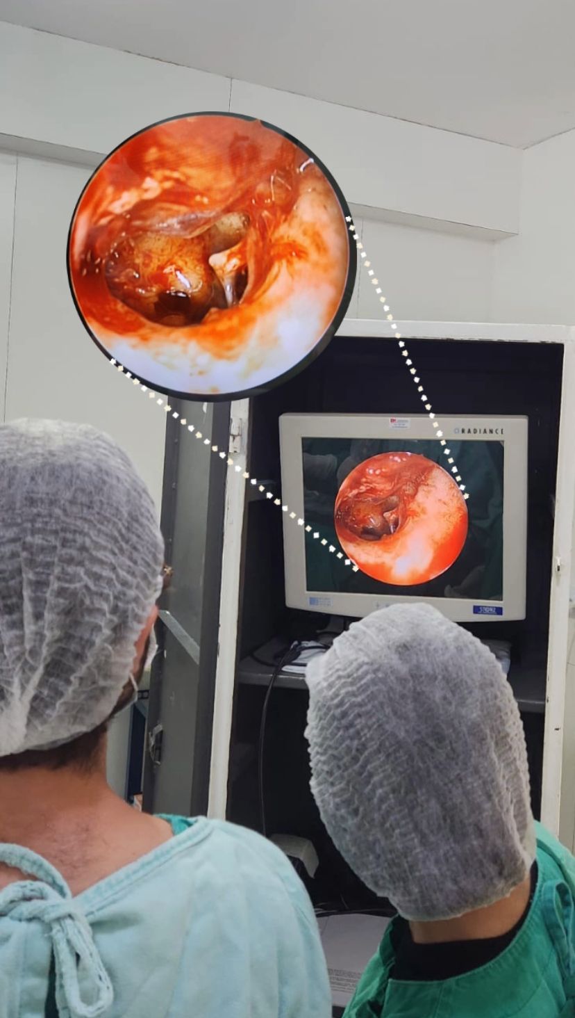 José Márcio Barcelos Costa Júnior-1