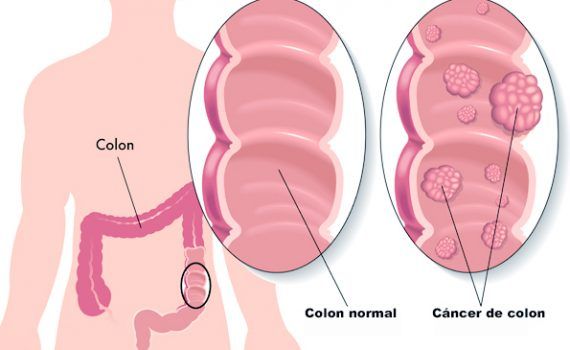 Eduardo Rodrigues Zarco Da Câmara-5