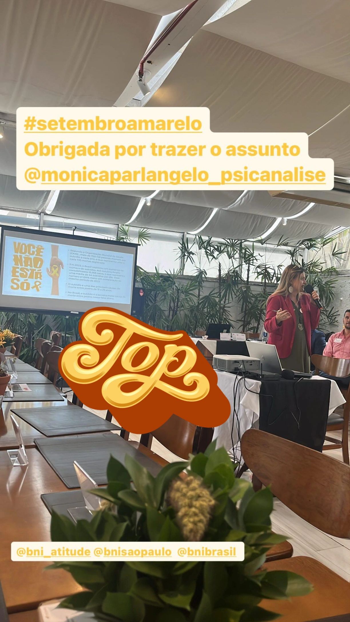 Mônica Parlangelo-13