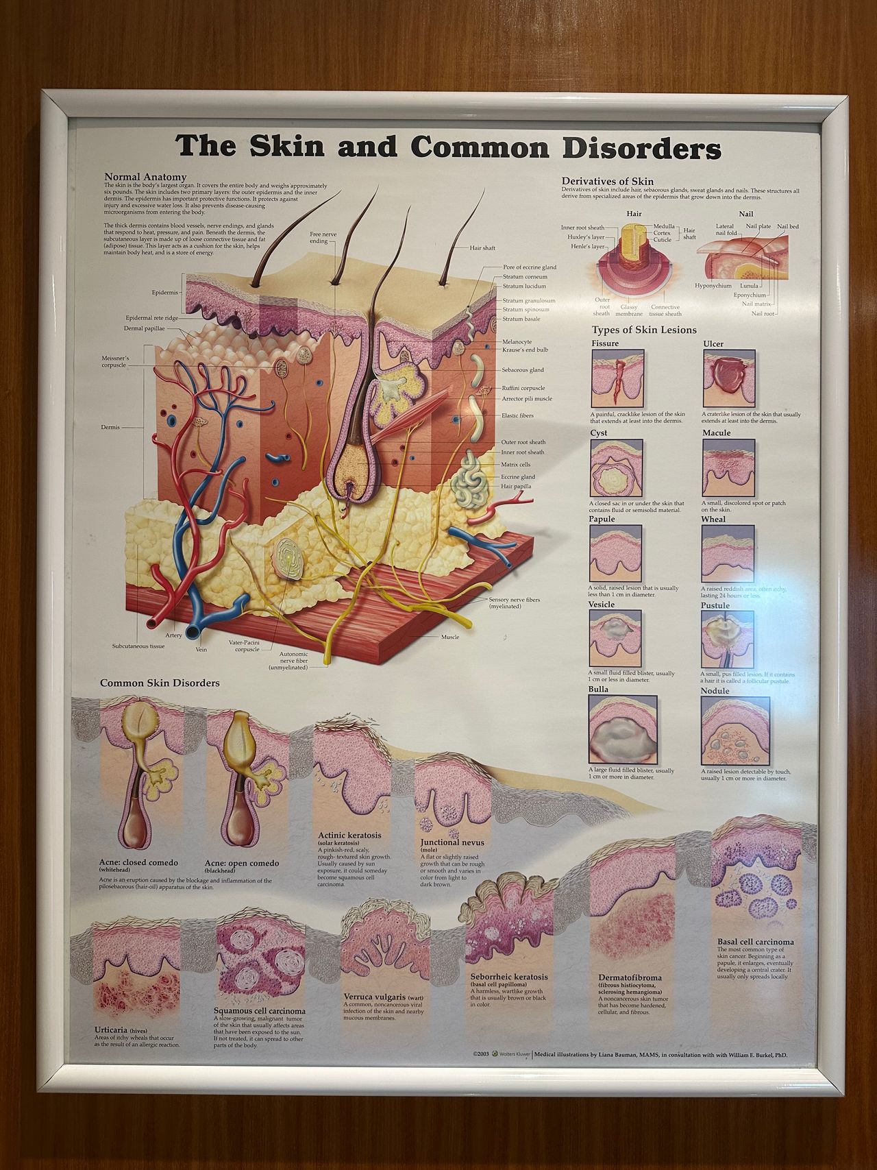 Palmira Rodrigues-13