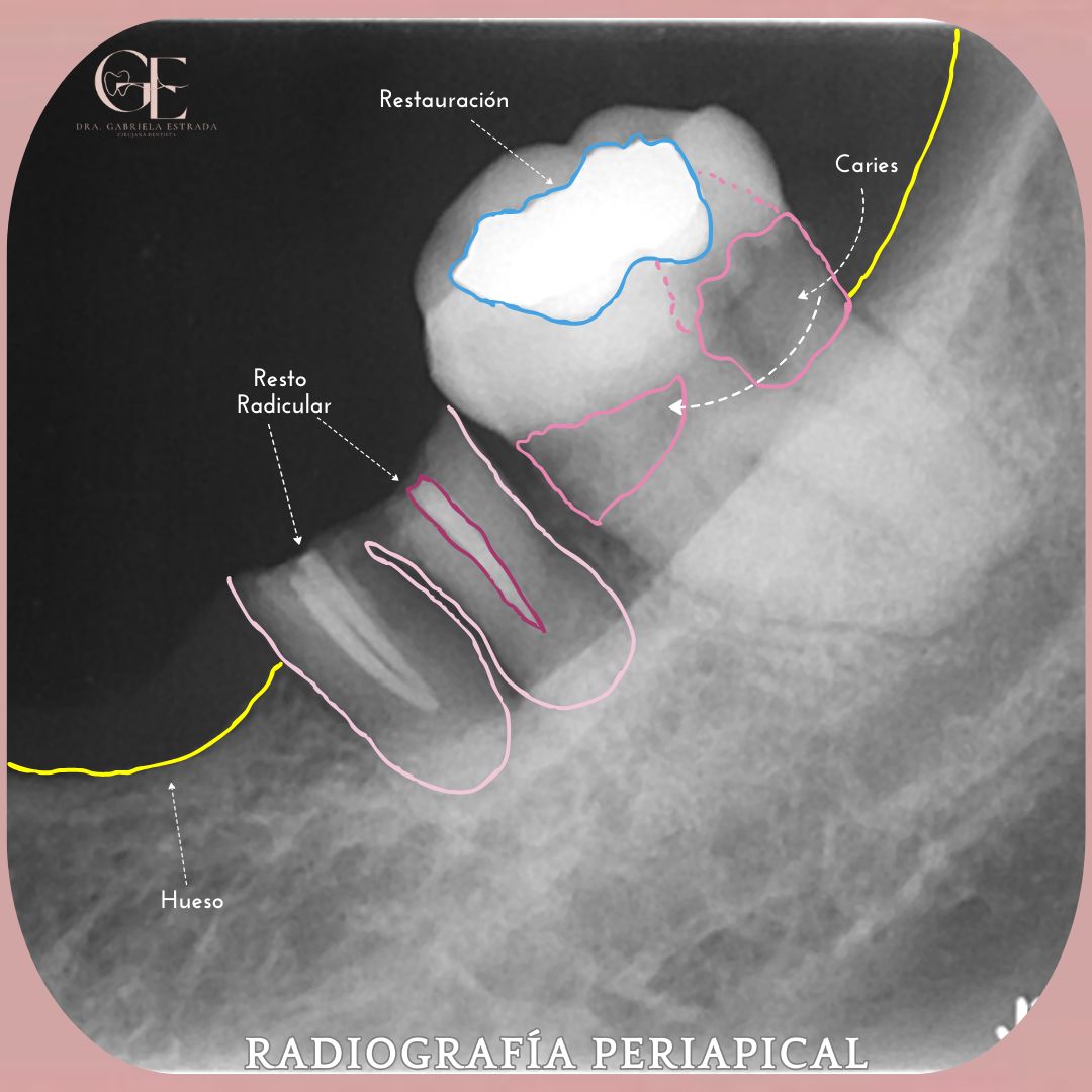 Gabriela Estrada Mura-21
