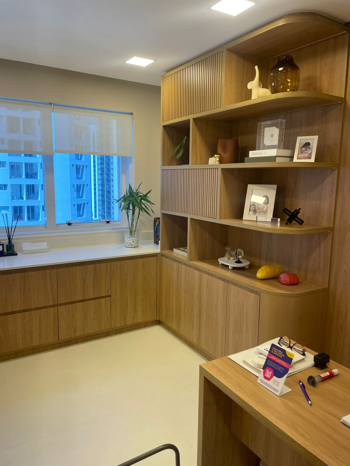 Diana Carla Girardi De Lima Pires-2