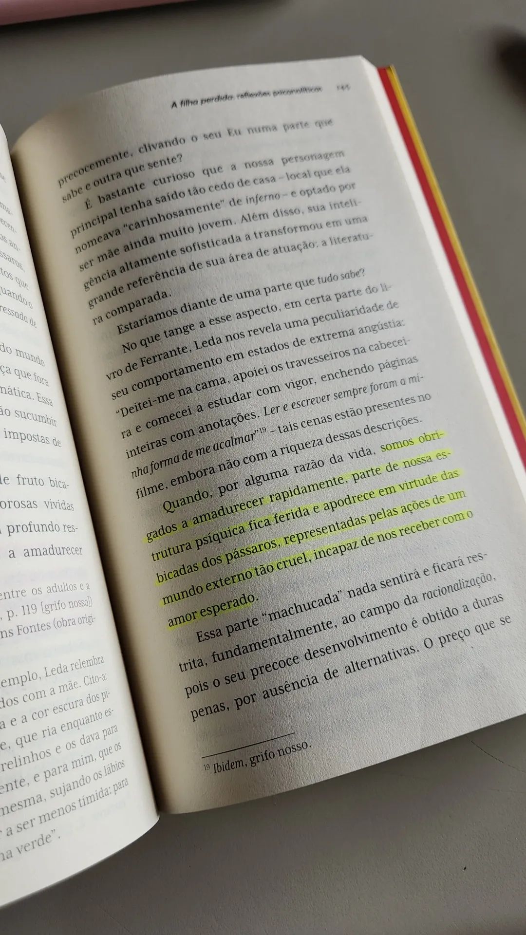 Amanda De Sousa Caprarola -1