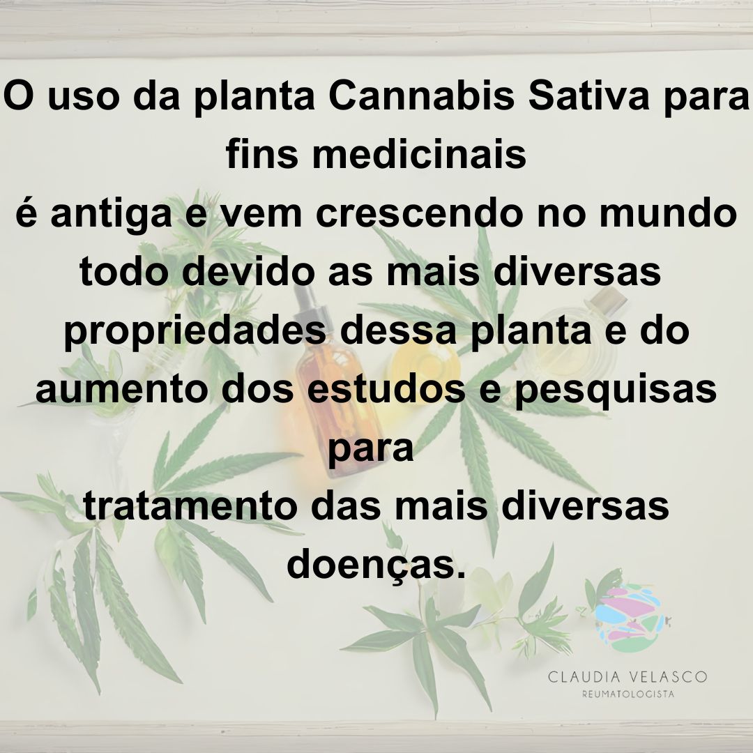 Claudia Rodrigues De Velasco-4