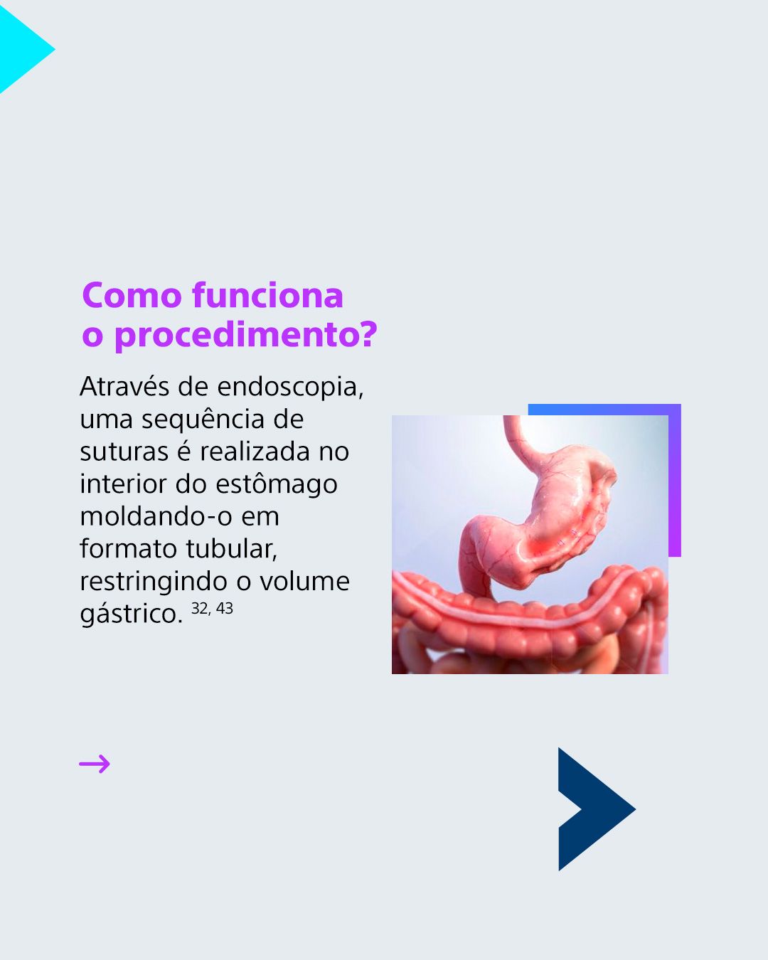 Fábio Miranda Ribeiro-12