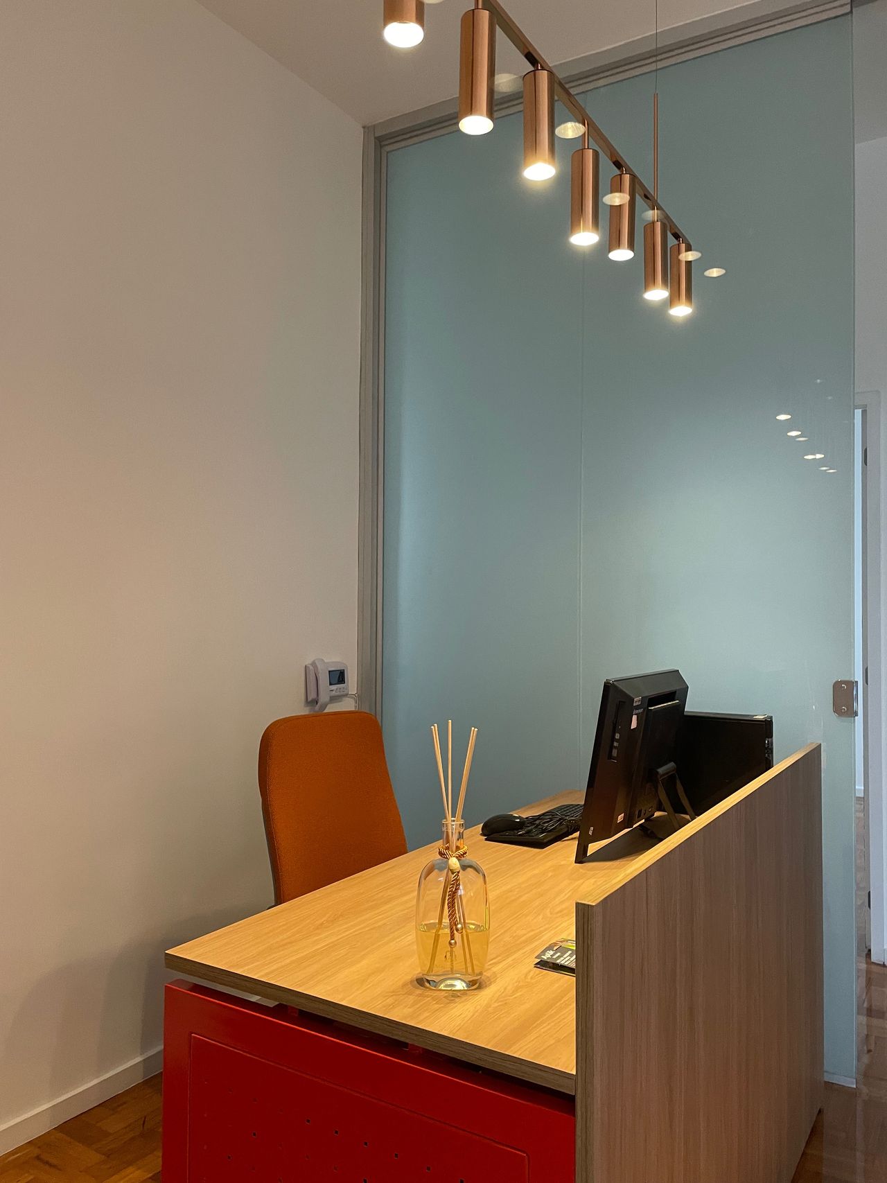 Flavio Lopes Ferreira-22