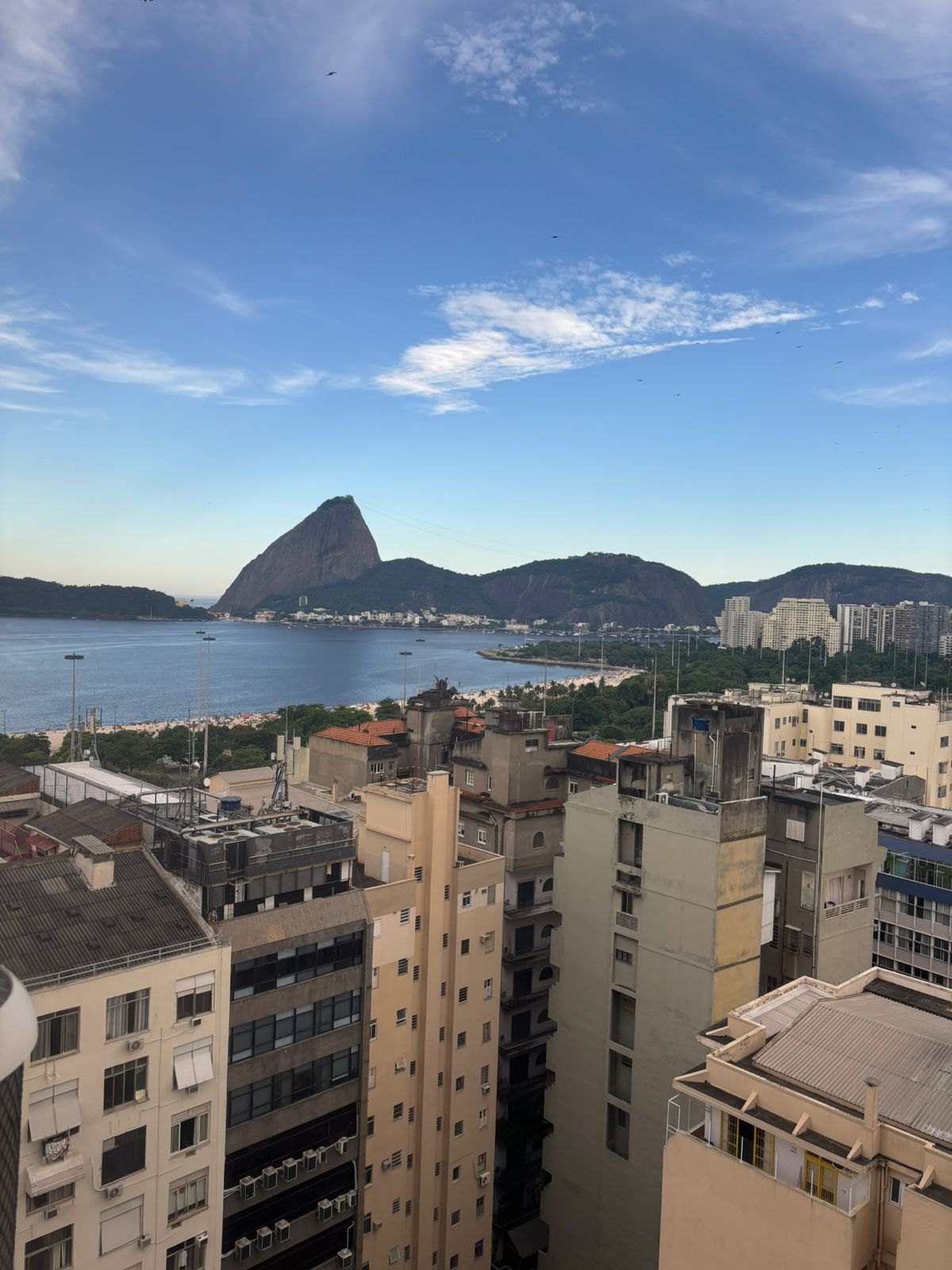 Aline Gonçalves Demantova-6