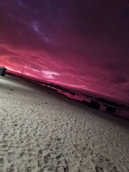 Romy Bravovisch Froimovich-5