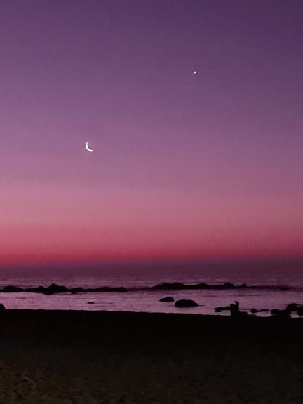 Romy Bravovisch Froimovich-4